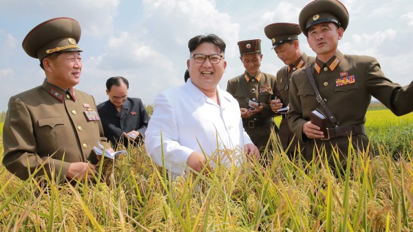 2016年9月13日，朝鲜领导人金正恩（中）视察朝鲜人民军810号部队运营的“1116号农场”。