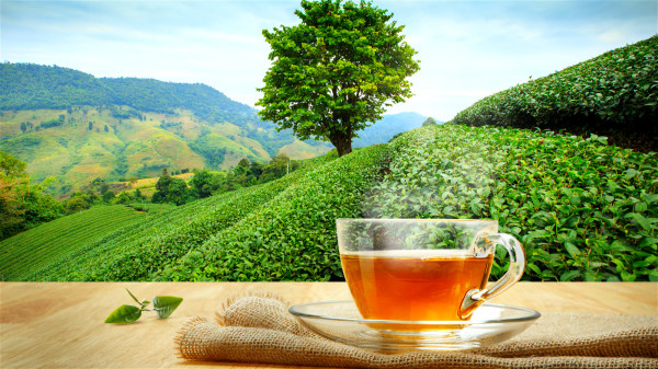 平时多喝茶有利于养生，不同颜色的茶，有不同的养生功效。