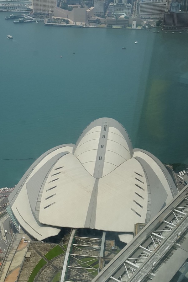 香港会议展览中心的外型像一只龟。