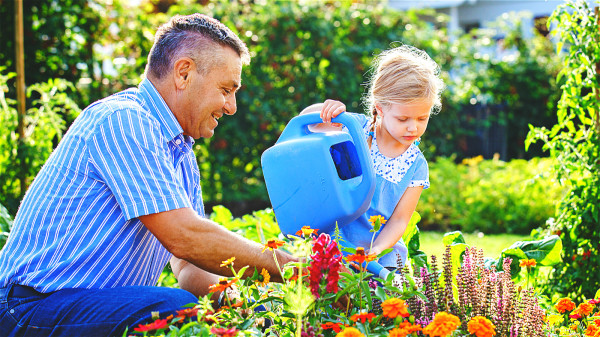 園藝等活動能為失智症患者腦部提供正向刺激，延緩病情。