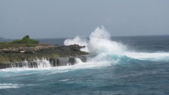 中國遊客藍夢島墜海澳洲小夥縱身一跳拚死相救(圖視頻)