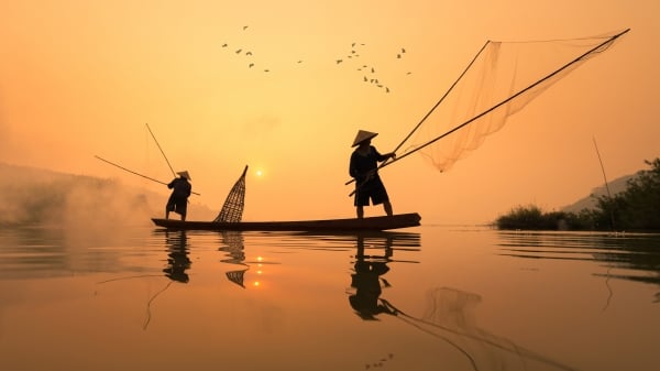 许度撒网捕鱼的技术果然和经验老道的渔民差不多。