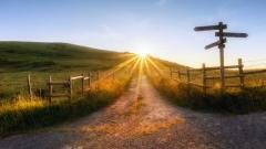 不解之谜:失落的殖民地(图)