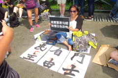 法政界關注香港情勢議員及外交部相繼發聲(圖)