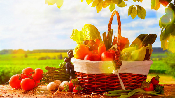 多吃新鲜的水果、蔬菜、谷物，有助于预防心脑血管疾病。