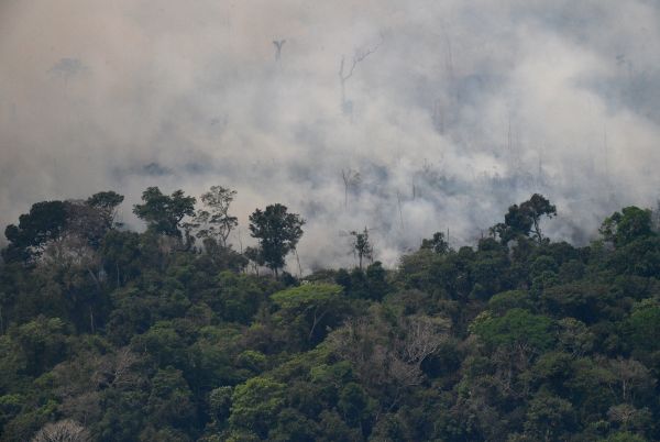2019年8月23日，距离巴西北部朗多尼亚州波多韦柳市约65公里的亚马逊热带雨林，有2公里长的起火带。