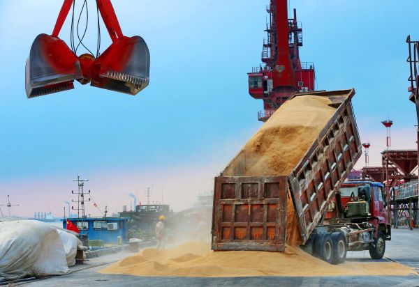 2018年8月6日，卡車在中國江蘇省南通市的一個港口卸下從巴西進口的大豆製成的動物飼料。