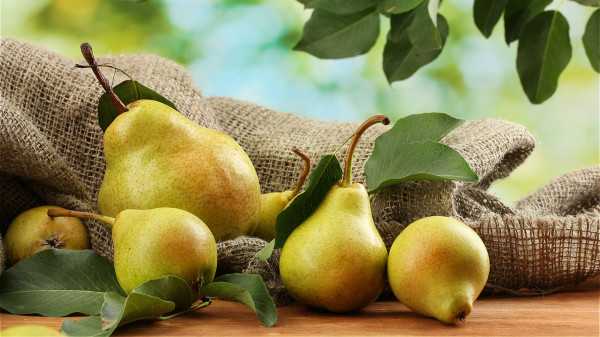 秋天氣候乾燥宜吃梨，梨具有生津潤肺、清熱化痰的作用。