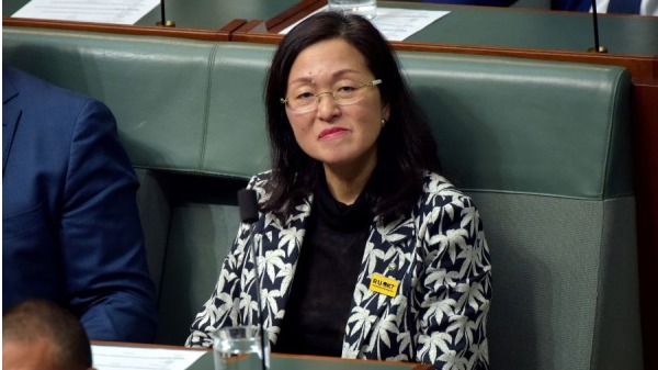 澳洲第一位眾議院華裔議員廖嬋娥，遭披露過去曾經擔任中國海外交流協會廣東分會、山東分會的理事。