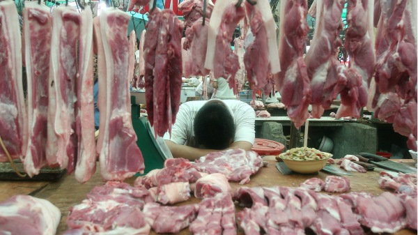中国2019年的猪肉产量降至16年低点。
