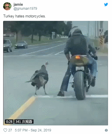 加拿大摩托车小哥和火鸡上演“街头互踢”