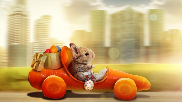 可爱兔子开小跑车，亮相纽约时装周，惊艳了所有观众。（示意图/图片来源：Adobe Stock）
