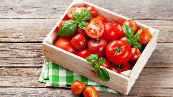 以西红柿作食材可以制作许多美味菜肴。