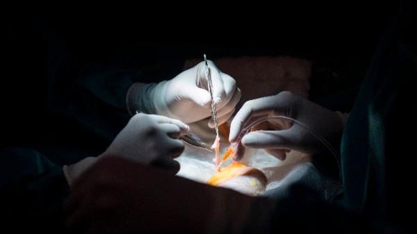 器官移植情景。（图片来源：PIERRE-PHILIPPE MARCOU/AFP/Getty Images）