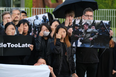 林鄭假讓步白日作夢(圖)