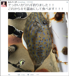 吃鱼前晒张照片日本网友捡回一条命(组图)
