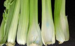 這是慧眼還是恐懼(圖)