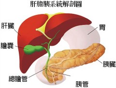 令醫師束手無策的胰臟癌「危险因素」一定要知道(圖)