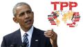 專家：TPP沒死在「煉獄」中(圖)