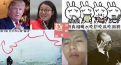 2016主宰中國網路的熱詞有哪些(組圖)