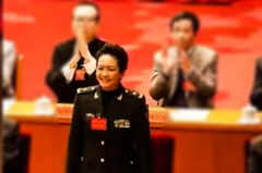 江派孫家正離場彭麗媛兼文聯副主席(圖)