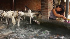 何清涟：《塑料王国》里消失的政府监管(图)