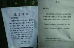 新疆維穩出新招家用刀具必須打碼(圖)