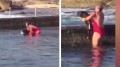 鯊魚被困海邊泳池澳洲女子徒手施救(圖視頻)