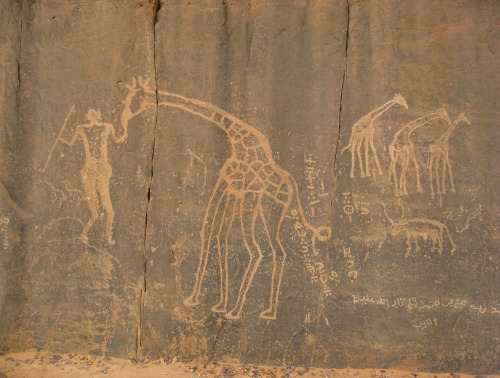 如何解释5亿年前的史前壁画？