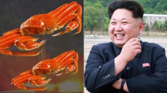 金正恩哪來錢走私雪蟹赴華出售(圖)