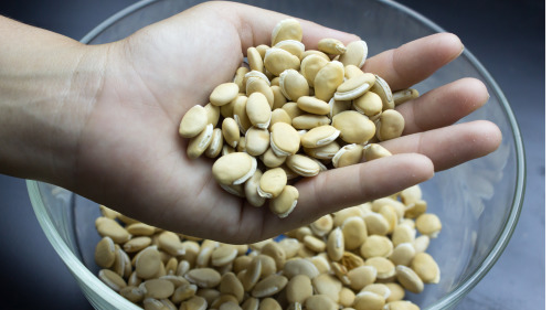 白扁豆非常適合用於食療。