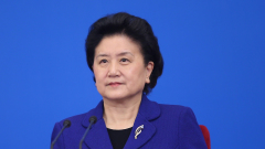 劉延東將退分析指或無人替補(圖)