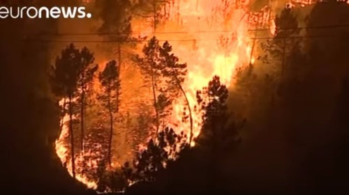 葡萄牙森林大火 一天內至少27死