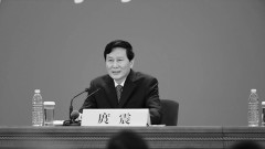 整肅「南周」核心人物庹震擔任十九大新聞發言人(圖)