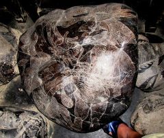 令人難以置信的秘魯史前石頭圖書館(組圖)