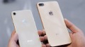 十年首見剛量產iPhone8就砍單五成(圖)