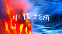 分裂的畫卷：2017中國經濟形勢回顧(圖)