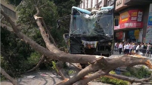 广州巴士冲上行人道酿6死伤车毁树断场面惨烈