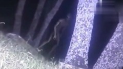 警察拍下疑似外星人近照吓得脊梁骨冒冷汗(视频图)