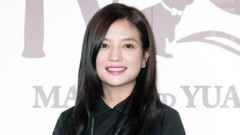 趙薇夫婦頂風作案遭證監會5年市場禁入處罰(圖)