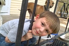 男孩头被栏杆卡住爸妈的处理方式让众人大开眼界