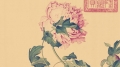 郎世宁画了什么居然是花鸟图册的亮点(图)