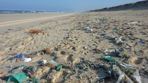被塑料垃圾污染的海滩