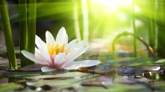 【吳國斌院長】謹疾箴(圖)