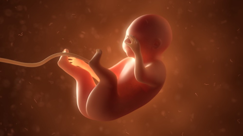墮胎三天後 嬰靈竟入夢