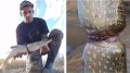 加國小夥釣到的這條魚引全球媒體熱傳(組圖)