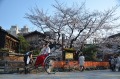 退休旅行守则(图)