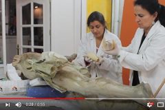 18世纪耶稣雕像发现“时间胶囊”内藏神秘字条(视频)