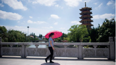 华人回国行：世风日下至此让人匪夷所思(图)