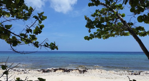 開曼群島被列入歐盟「避稅天堂」的觀察名單。